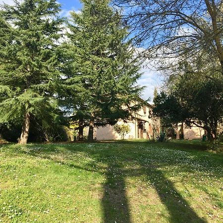 Agriturismo Bethsaid Fauglia Bagian luar foto