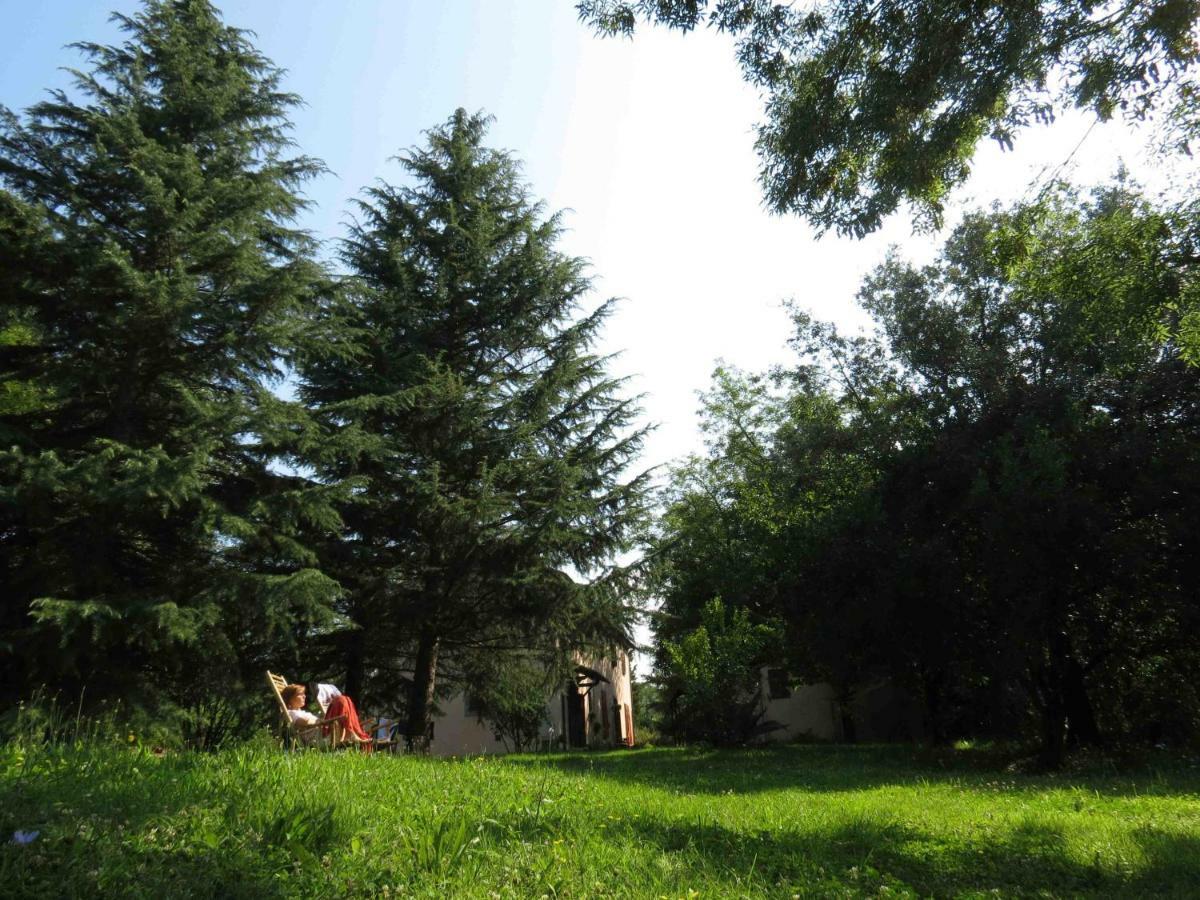 Agriturismo Bethsaid Fauglia Bagian luar foto