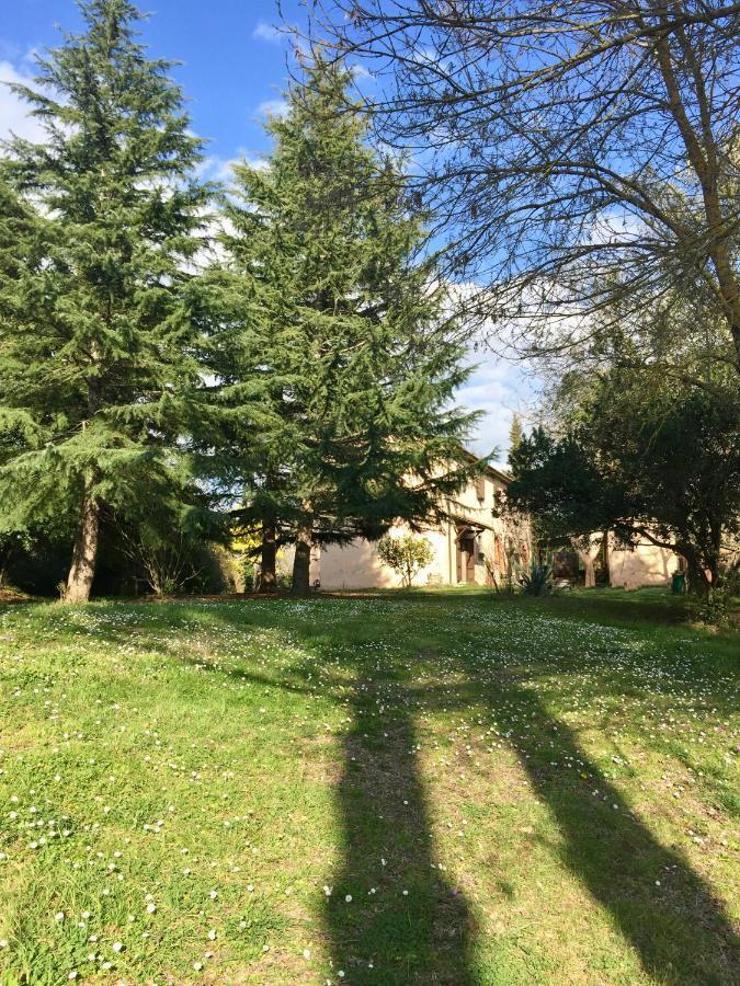 Agriturismo Bethsaid Fauglia Bagian luar foto